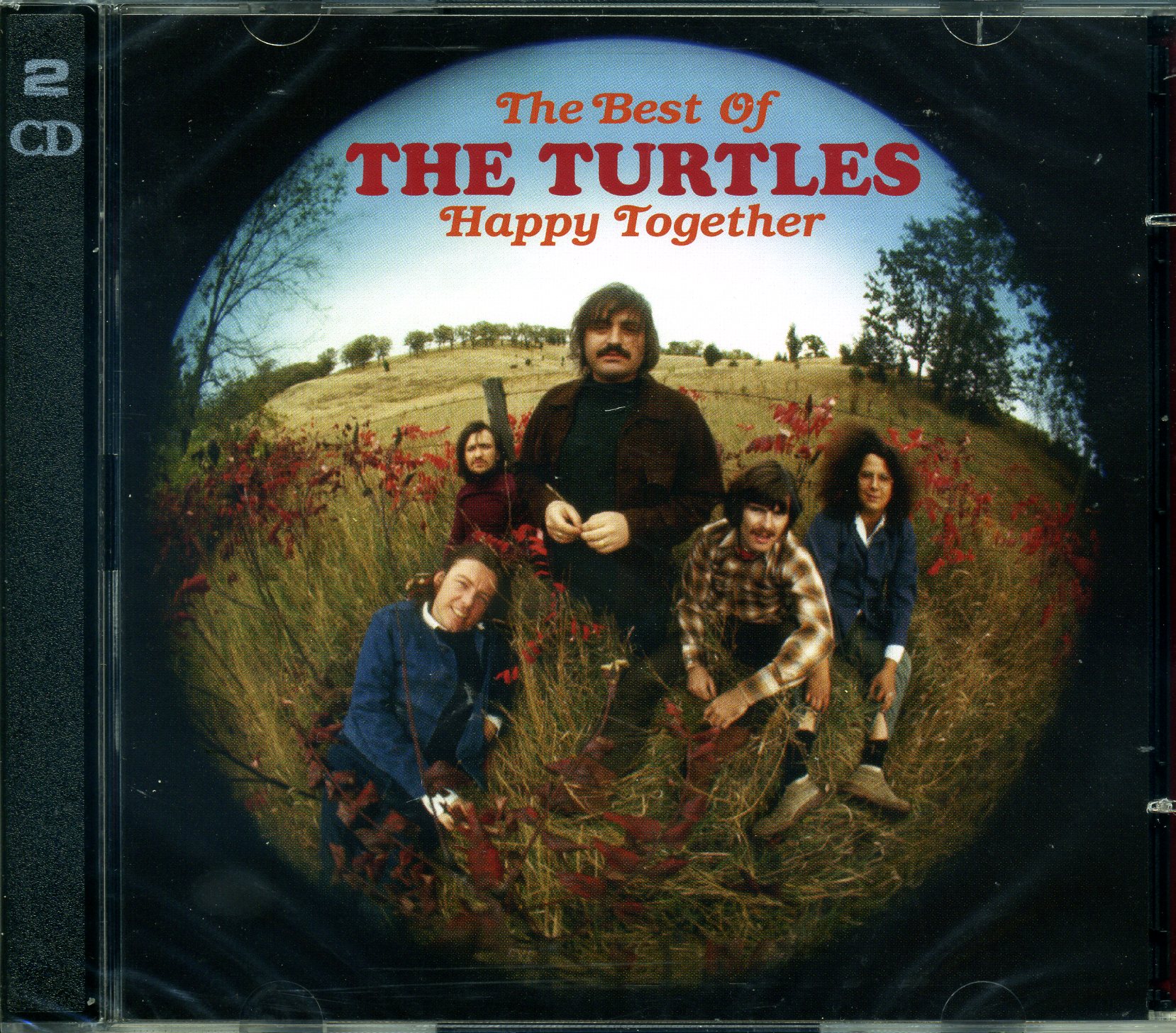 TURTLES, The   (see: Flo & Eddie , Zappa)